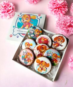 Šuniukai patruliai ( SKYE ), sveikinimo meduoliai dėžutėje