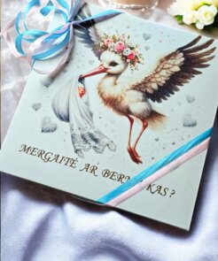 Alternative view of Lyties atskleidimo meduoliai *berniukas