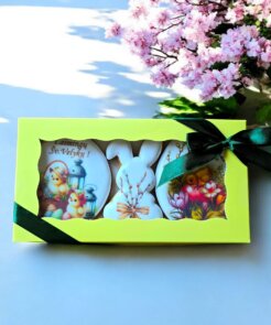 Dekoruotų Velykinių meduolių rinkinys geltonoje dėžutėje 21x11 cm. Ančiukai