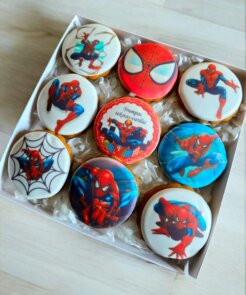 Alternative view of Meduolių rinkinys dėžutėje – Žmogus Voras (9 vnt.)