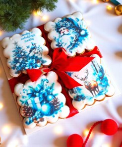 Kalėdinių meduolių rinkinys dėžutėje - Kalėdų santa